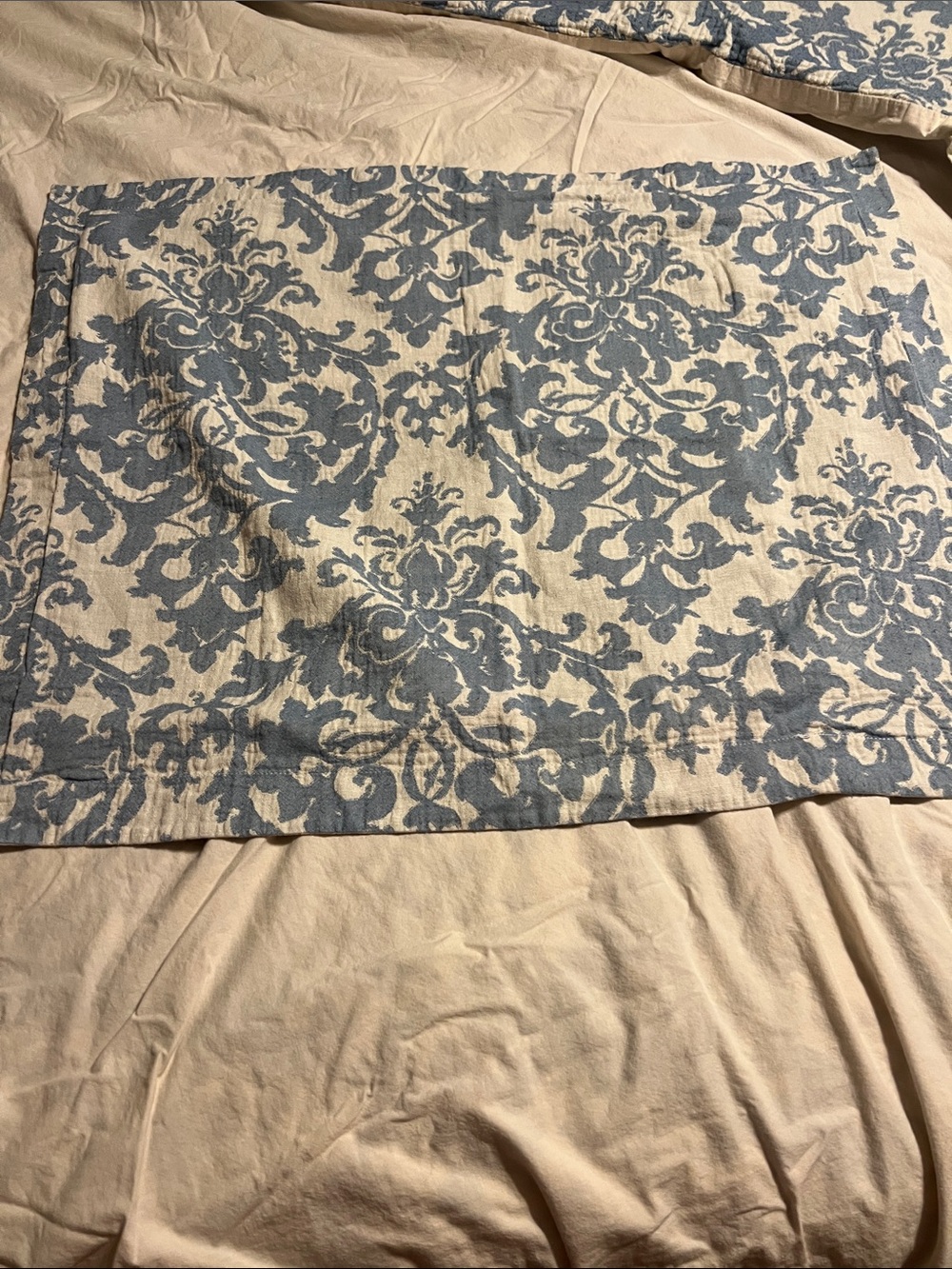 Pottery barn jacquard medallion euro sham